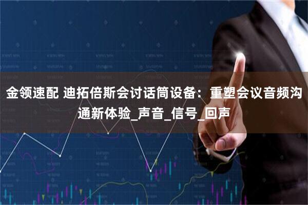 金领速配 迪拓倍斯会讨话筒设备：重塑会议音频沟通新体验_声音_信号_回声