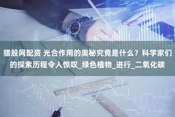 猎股网配资 光合作用的奥秘究竟是什么？科学家们的探索历程令人惊叹_绿色植物_进行_二氧化碳