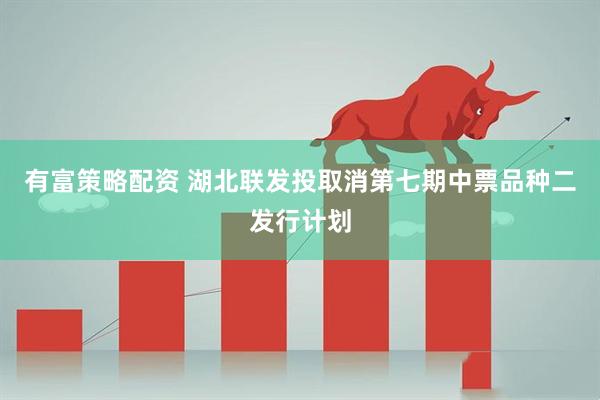 有富策略配资 湖北联发投取消第七期中票品种二发行计划