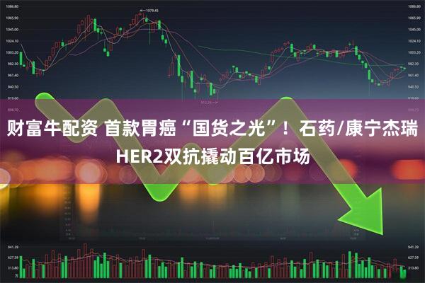 财富牛配资 首款胃癌“国货之光”！石药/康宁杰瑞HER2双抗撬动百亿市场