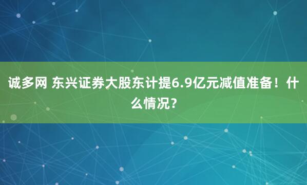 诚多网 东兴证券大股东计提6.9亿元减值准备！什么情况？