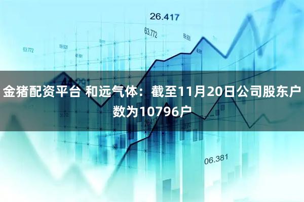 金猪配资平台 和远气体：截至11月20日公司股东户数为10796户